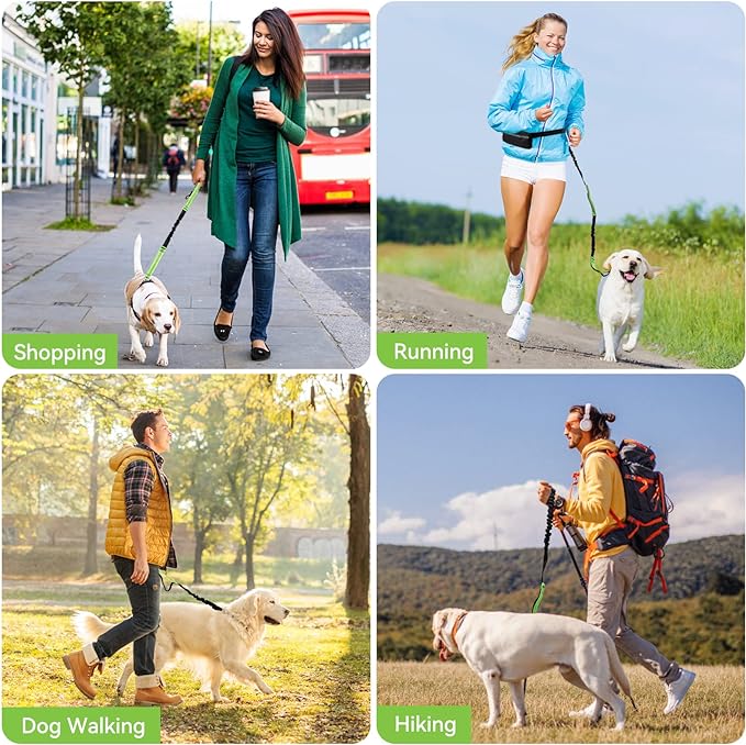 FlowLeash Dog Leash with Shock Absorber & Waist Belt