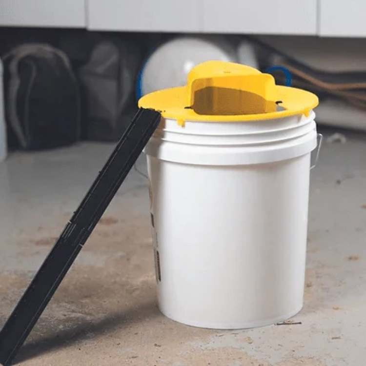 Multi-Catch Mouse Trap with Automatic Tipping Mechanism