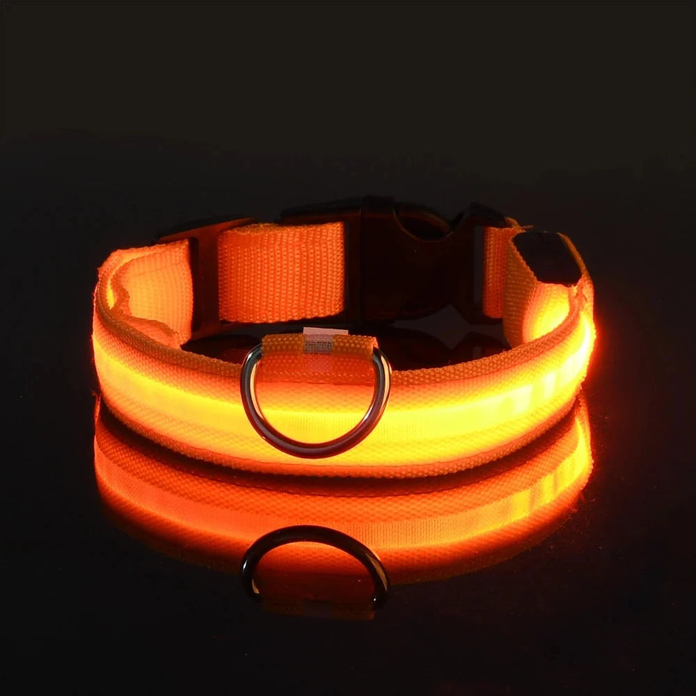 LED Dog Collar Illuminated for Night Walks