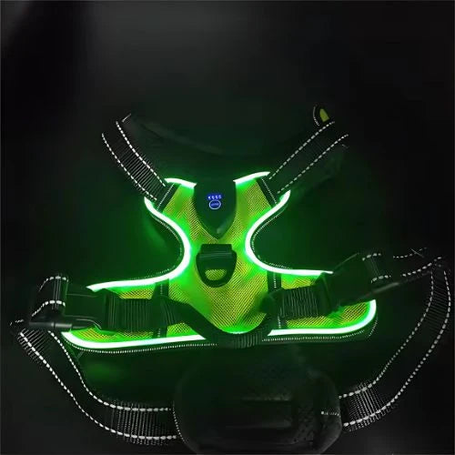 LumiPaws™ – LED Dog Harness for Increased Visibility at Night