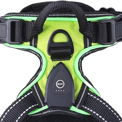 LumiPaws™ – LED Dog Harness for Increased Visibility at Night