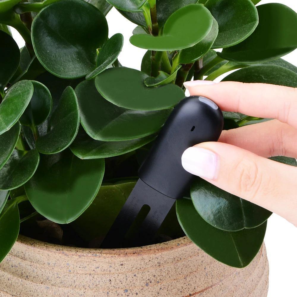 Plant sensor with Bluetooth app