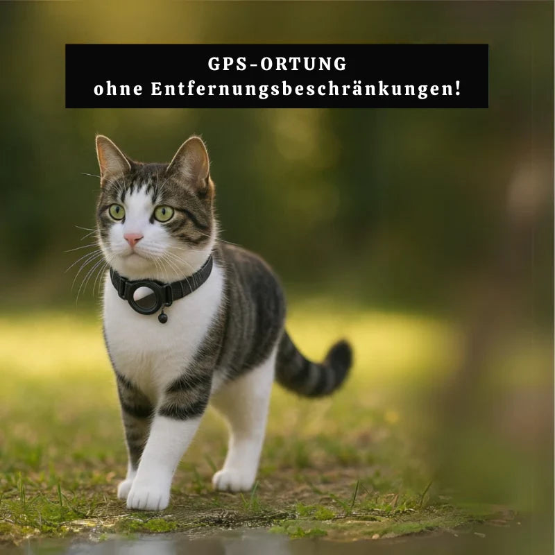 Pet GPS Tracker Real-Time Location Tracking