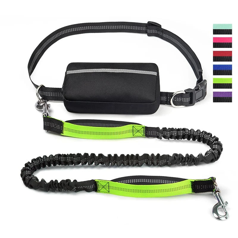 FlowLeash Dog Leash with Shock Absorber & Waist Belt