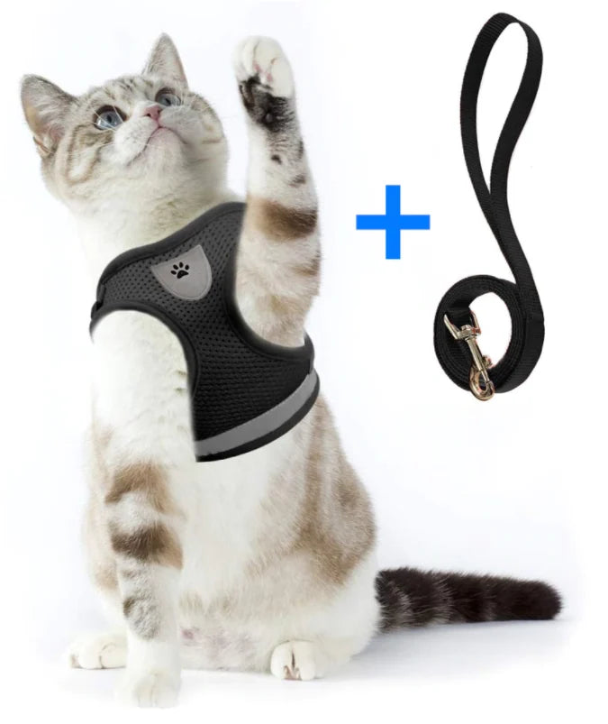 Cat Harness and Leash Escape Proof Reflective Strips