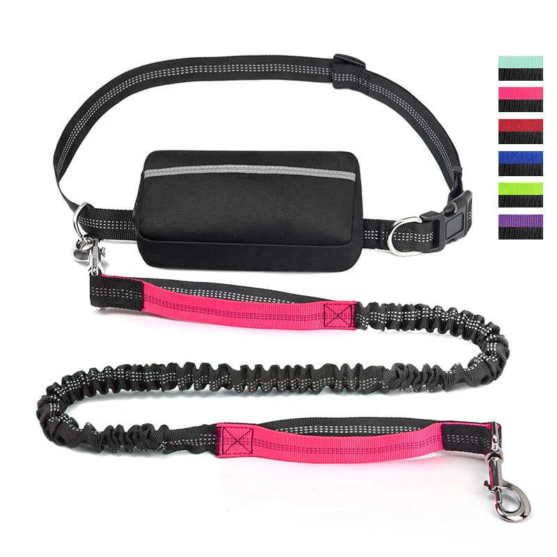 FlowLeash Dog Leash with Shock Absorber & Waist Belt