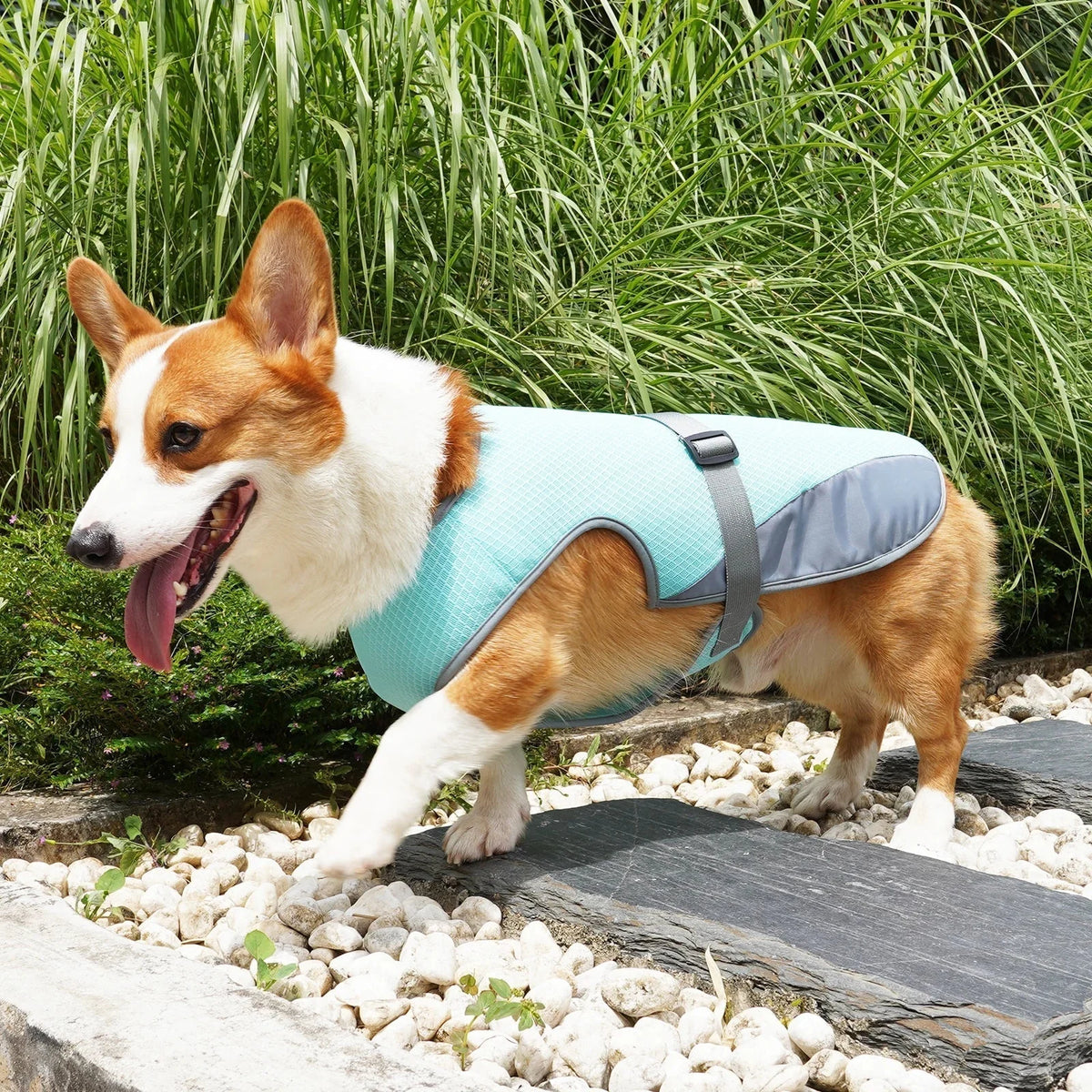VeciGimax Dog Vest with Breathable Mesh