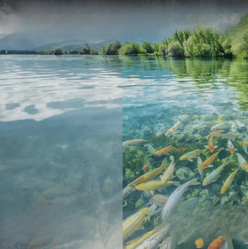 Aquara™ — See fish, feel success: Clear vision for your best fishing time