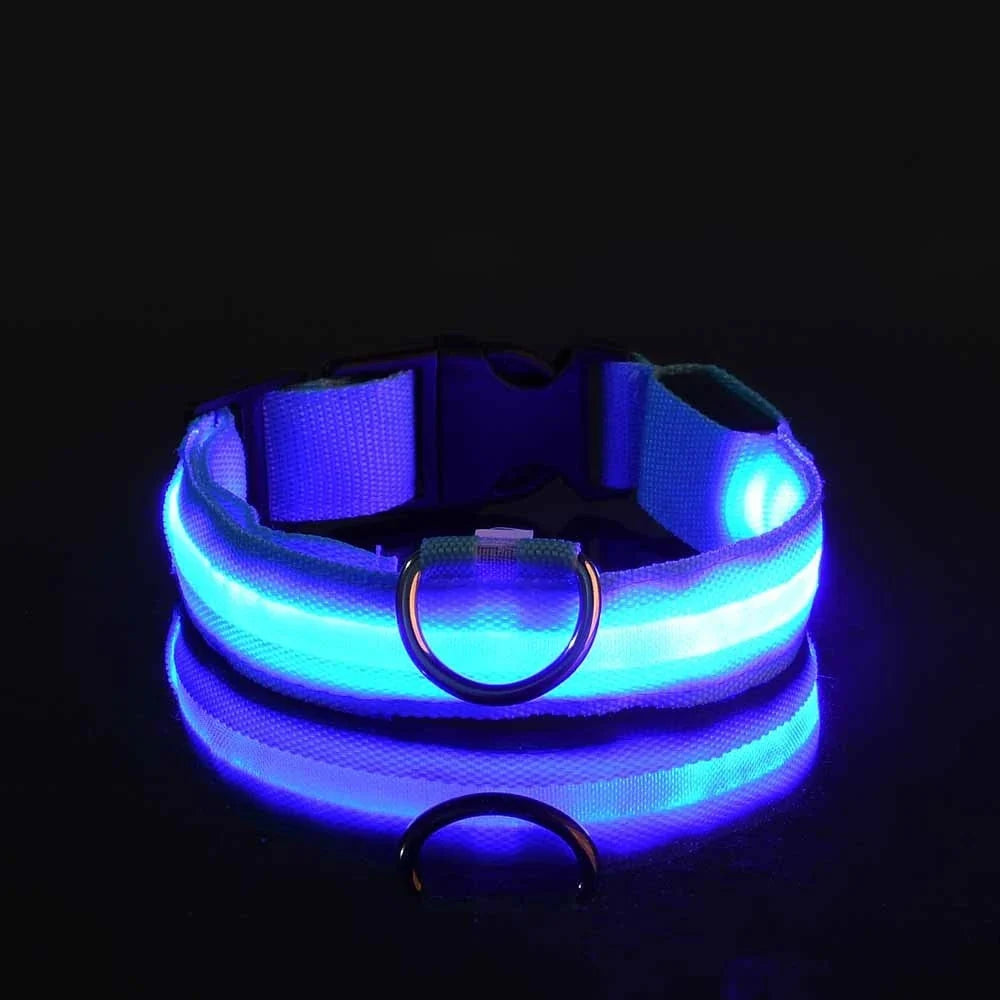 LED Dog Collar Illuminated for Night Walks