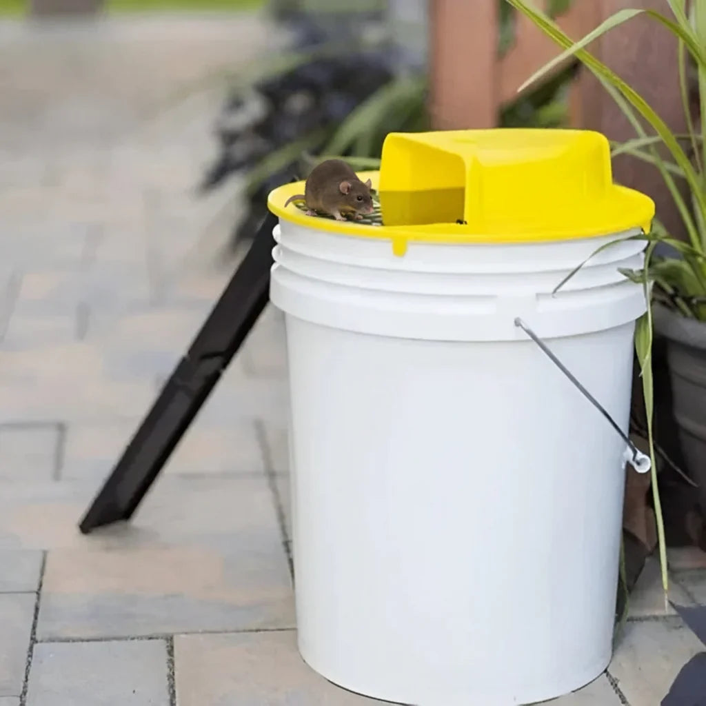 Multi-Catch Mouse Trap with Automatic Tipping Mechanism