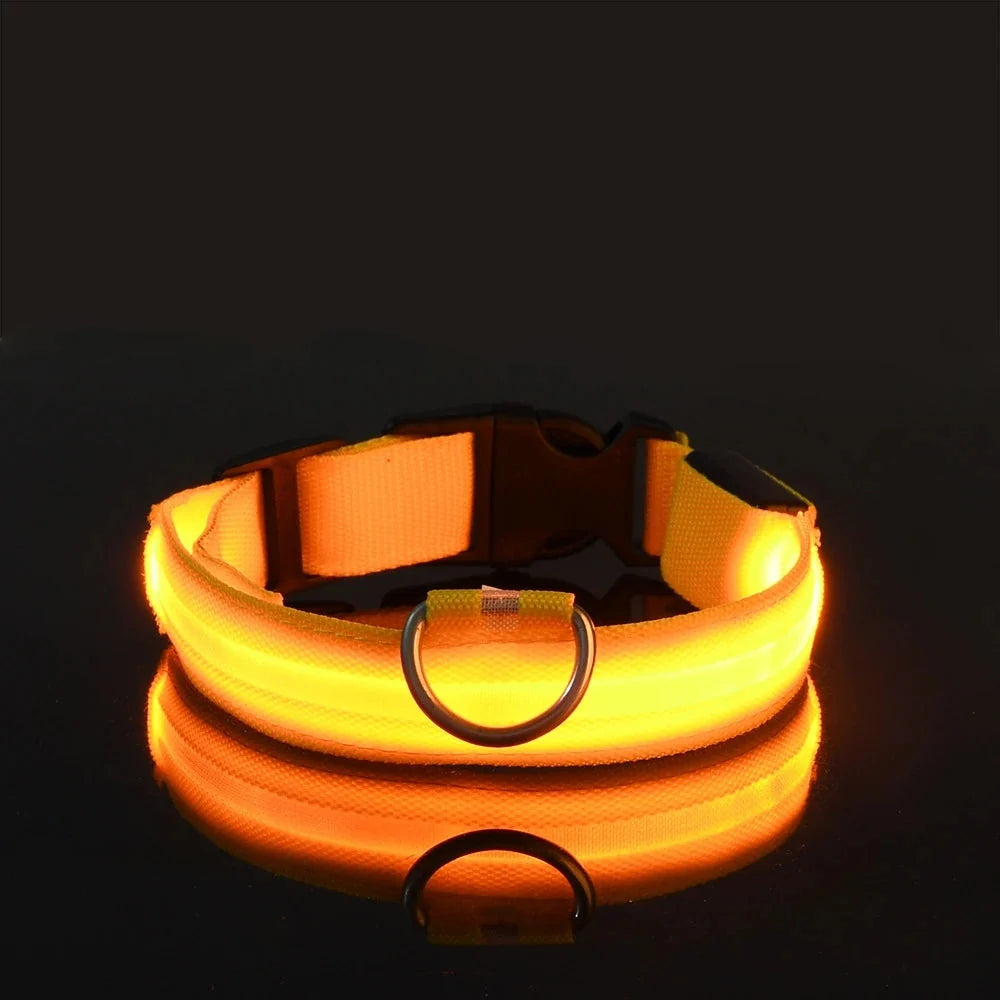 LED Dog Collar Illuminated for Night Walks
