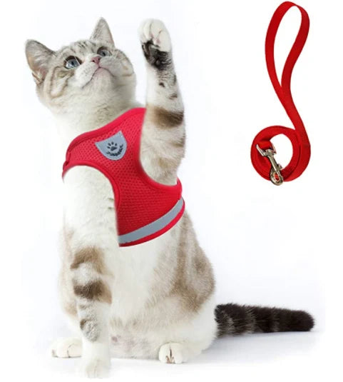 Cat Harness and Leash Escape Proof Reflective Strips