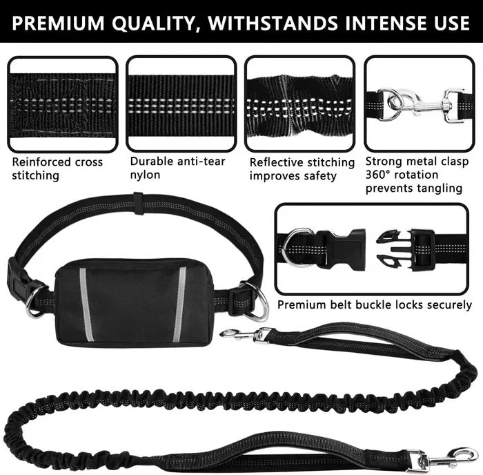 FlowLeash Dog Leash with Shock Absorber & Waist Belt