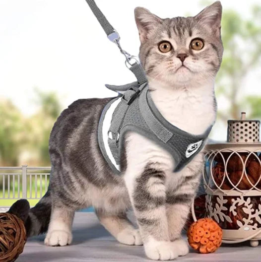 Cat Harness and Leash Escape Proof Reflective Strips