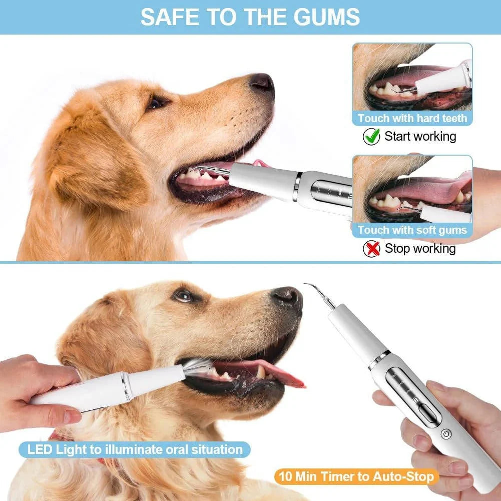 Ultrasound Device for Dog Grooming