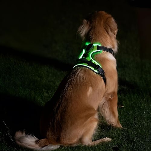 LumiPaws™ – LED Dog Harness for Increased Visibility at Night
