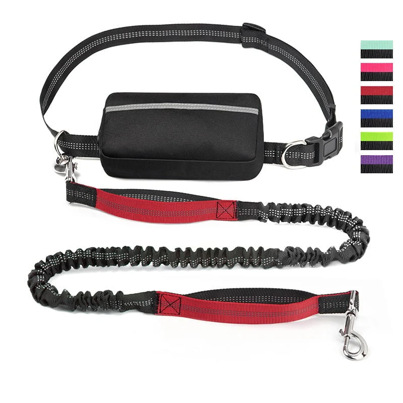 FlowLeash Dog Leash with Shock Absorber & Waist Belt